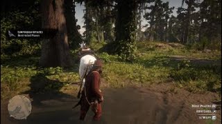 Red Dead Redemption 2 Band Tailed Pigeon Location [upl. by Sinclare541]