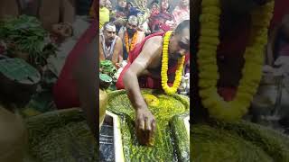 Baba baidyanath dham live darshan babadham deoghar harharmahadev jharkhand [upl. by Hibbitts882]