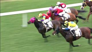 Joao Moreira delighted to break Hong Kong record [upl. by Ennaisoj960]