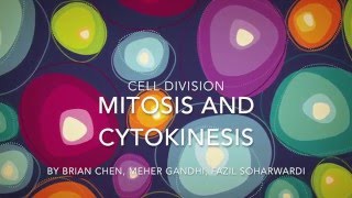 Cell Division  Mitosis and Cytokinesis [upl. by Hegyera]