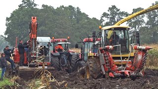 Harvesting Mais In The Mud  New Holland FX  Modderen  Vastzitten  Sundermeijer [upl. by Dyraj]