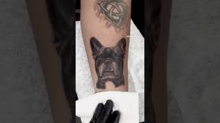 French Bulldog Black amp Gray Tattoo Realistic Pet Portrait by Demunik Tattoo [upl. by Jinny]