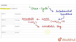 Ornithine cycle is related to [upl. by Amarillas]