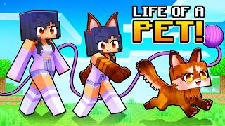 Having a PET LIFE in Minecraft [upl. by Kalil311]