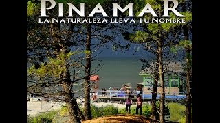 PINAMAR LA NATURALEZA LLEVA TU NOMBRE  DOCUMENTAL [upl. by Ernaldus]