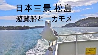 Matsushima Bay  One of Three Best Views in Japan☆日本三景 松島 遊覧船とカモメ [upl. by Annaoy]