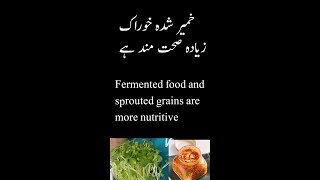 Fermented food is more Nutritious khameer khana sehat mand he [upl. by Aromas585]