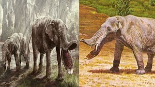 Platybelodon  Prehistoric Elephant [upl. by Ebeohp663]