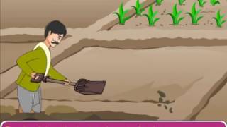 Methods to prevent Soil Erosion [upl. by Niwrek]