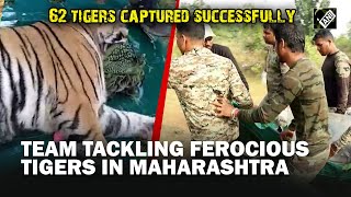 Meet the rapid response team tranquilizing unruly tigers in forests of Maharashtra [upl. by Norreg697]