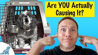 Is Your Dog Barking In Their Crate Heres What To Do [upl. by Ahsrav803]