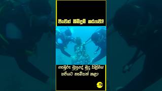 ජීවිත අවදානම නොතකා බුදු පිළිමය නිසි ලෙස සකස් කළ කිමිදුම්කරුවෝ [upl. by Analise]