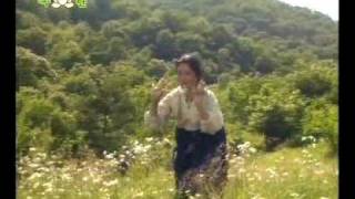 DPRK Music 807 동백꼿 한송이 A bunch of Camellia Flowers [upl. by Abehsat1]