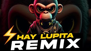 HAY DIGAME LUPITA  GUARACHA Remix  Cuanto Quiere Por La Cosita DJ MORPHIUS ALETEO PEDRO MEXA 2024 [upl. by Viehmann]