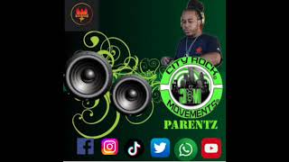 Yardi Riddim Mixx 2024 By DJ ParentzCity Rock [upl. by Belier486]