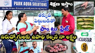 కొర్రమీను చేపల పెంపకంFish farming teluguMurrel fish farm businessKorameenu fish farmingChepalu [upl. by Hathaway]