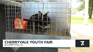 Cherryvale Youth Fair kicks off [upl. by Estis]