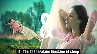 The Sleep  The Restorative Function [upl. by Noseimaj]