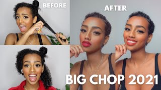 MY BIG CHOP  WATCH ME CUT MY HAIR OFF  journeytowaistlength [upl. by Annenn]