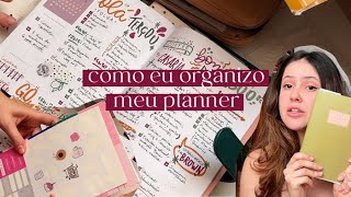 como eu organizo meu PLANNER [upl. by Pierre]