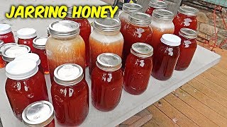 How Much Honey Did I Get  Honey Harvest Part 3 [upl. by Robers443]