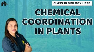 Chemical Coordination in Plants  Chapter 7 Class 10 ICSE Biology  Selina [upl. by Olenta]