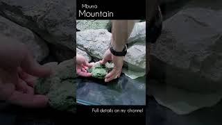 👆👆👆👆👆 click the link Mbuna Mountain Aquascape Tutorial [upl. by Clava86]