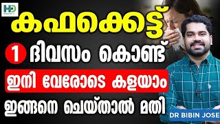 നെഞ്ചിലെയും തലയിലെയും കഫം അലിയിച്ച് കളയാൻ ഈ ഒരൊറ്റ പാനീയം മാത്രം മതി  Kafakkett In Ulla Ottamooli [upl. by Aidroc]