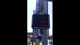 ICC Pedestrian Signal with Wilcox Sales APS [upl. by Portugal441]