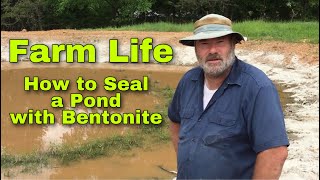 How to Seal a Pond with Bentonite  Sprinkle Method [upl. by Kally]