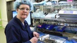 Sterile Processing TechnicianDonna Reich [upl. by Maker]