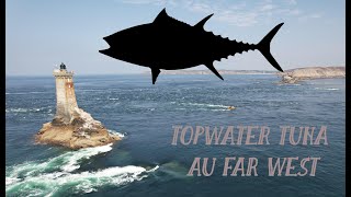 Bluefin Tuna Topwater foamers [upl. by Stander]