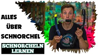 Alles was du über SCHNORCHEL wissen musst • Schnorcheln lernen [upl. by Anrahs]