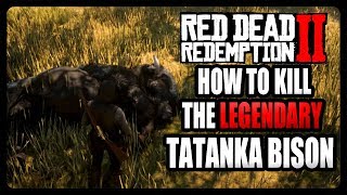 How To Kill The Legendary Tatanka Bison Red Dead Redemption 2 [upl. by Aruam321]