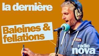 quotBaleines et fllationsquot  la chronique de PierreEmmanuel Barré dans quotLa dernièrequot [upl. by Nnyloj]