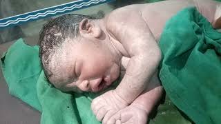 Babys First Cry After Birth newborn cute viral youtubeshorts [upl. by Aivil]