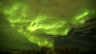 Laurora boreale in Canada il timelapse è spettacolare [upl. by Alyos]