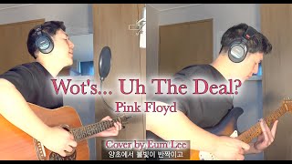 Cover Pink Floyd  Wots Uh The Deal [upl. by Berl682]