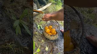 Egg Fruit Canistel shortvideo highlights fyp [upl. by Alberic39]