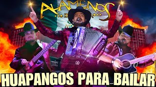 Los Alameños De La Sierra  Mix 2024 Lo Más Chingon💥Puras Huapangos Para Bailar💥 Excelencia Bailable [upl. by Arihsaj]