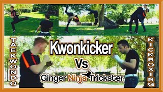 Taekwondo Vs Kickboxing  GNT Vs Kwonkicker Martial Arts Fight [upl. by Toille706]