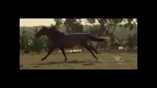 Kubota Grand X Tractor Commercial Ad Australia 2013 for Sheer Tractoring Pleasure a Fast Car Parody [upl. by Corene]