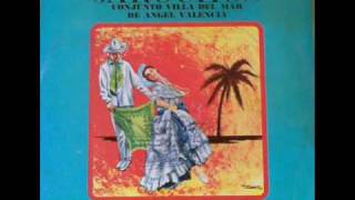 El Torito Jarocho  Conjunto jarocho Villa del Mar de Angel Valencia son jarocho [upl. by Huei]