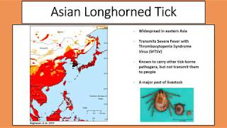 The Spread of Invasive Ticks amp Mosquitoes in NY [upl. by Leizar]