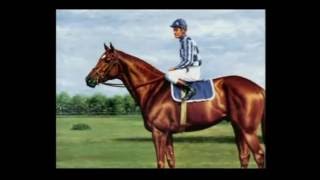 SECRETARIAT CABALLOS PARA LA HISTORIA [upl. by Emerald]