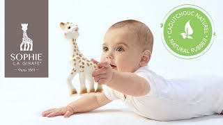 Sophie la girafe®  Le jouet en caoutchouc 100 naturel [upl. by Yesima368]