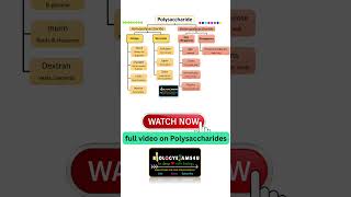 Polysaccharide Classification 12 Polysaccharides [upl. by Lyle]