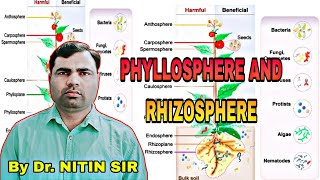 Rhizosohere and Phyllosphere  राइजोस्फेयर एवं फाइलोस्फीयर nitingangwar05 [upl. by Aleahcim]