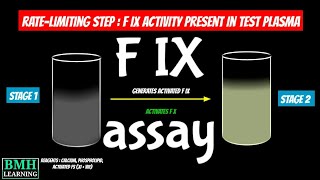 Chromogenic Factor IX Activity Test  F IX Assay  Chromogenic Factor IX Assay [upl. by Ekaterina420]