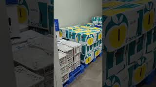 commercial cold room [upl. by Bullen]